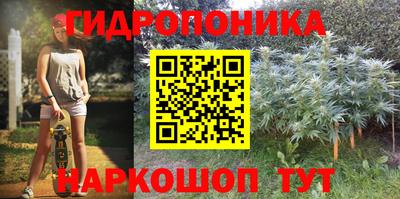 альфа пвп Гусев