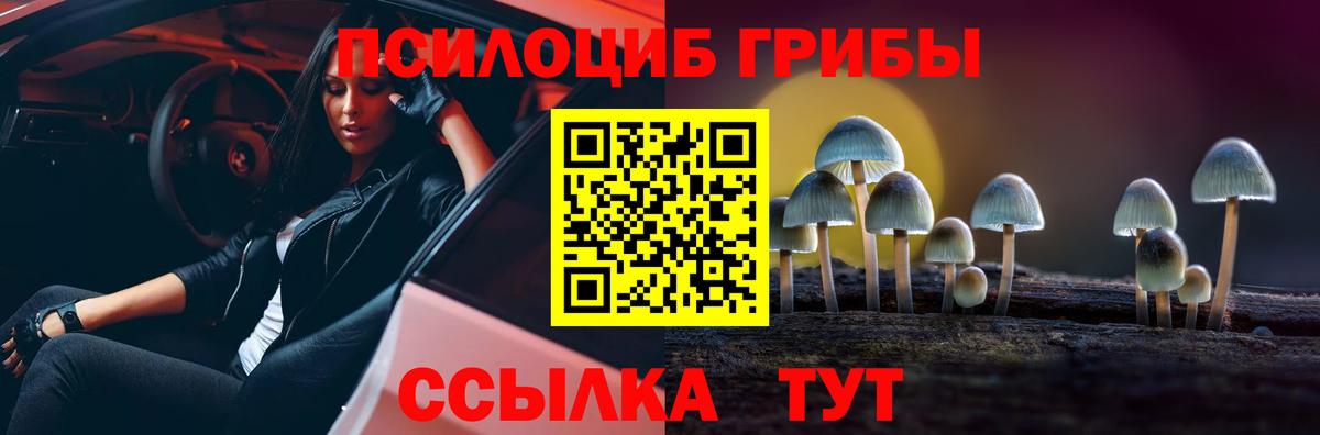 Заволжье  Псилоцибиновые грибы ЛСД  Вход с VPN 
